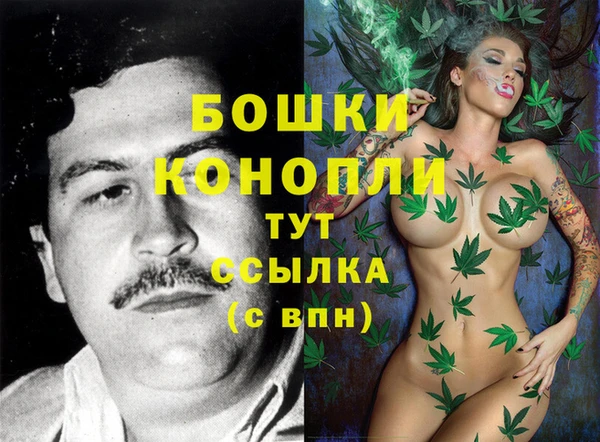 мдпв Нефтегорск