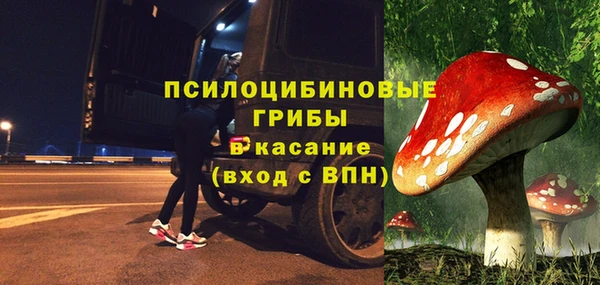 ГАЛЛЮЦИНОГЕННЫЕ ГРИБЫ Нея
