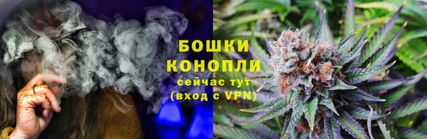 ГАЛЛЮЦИНОГЕННЫЕ ГРИБЫ Нея