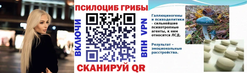 Галлюциногенные грибы мицелий магазин наркотиков Приволжск